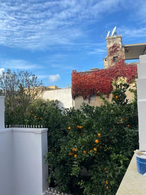 Villa La Casita - Private House With Pool And Terrace In City Center